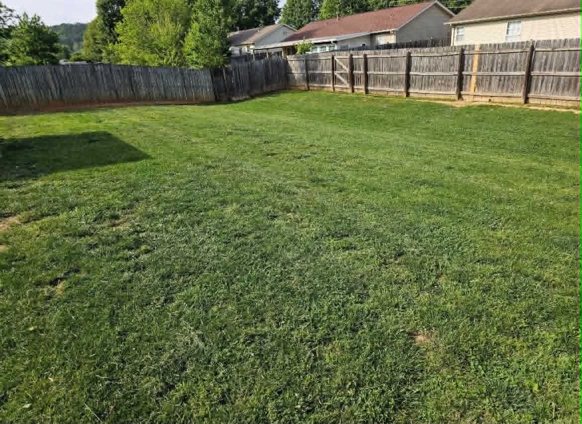 Large fenced backyard with fresh green lawn
